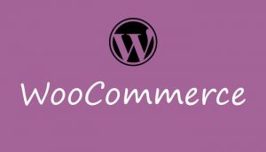 Best woocommerce themes