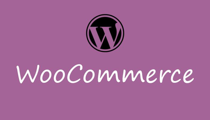 Best woocommerce themes