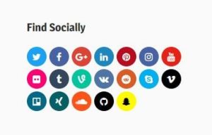 Social Icon widget